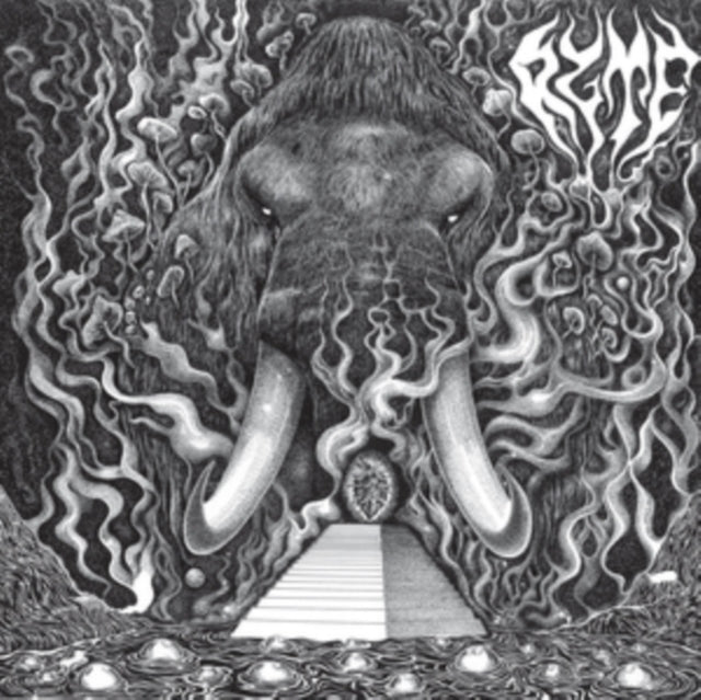 RYTE | RYTE | VINYL RECORD (LP)