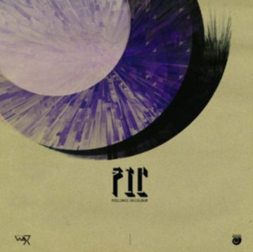 FEELINGS IN COLOUR | VINYL RECORD (LP)