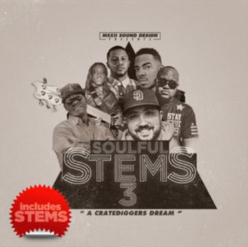 SOULFUL STEMS 3 | VINYL RECORD (LP)