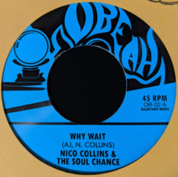 WHY WAIT B/W WAITING IN THE PARK | 7IN VINYL