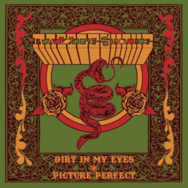 RATTLESNAKE | DIRT IN MY EYES/PICTURE PERFECT | 7IN VINYL