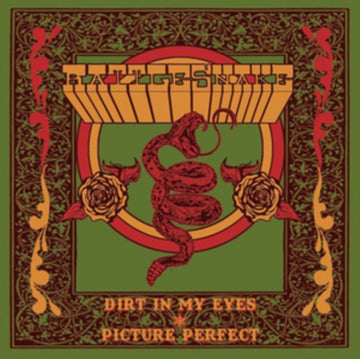 RATTLESNAKE | DIRT IN MY EYES/PICTURE PERFECT | 7IN VINYL