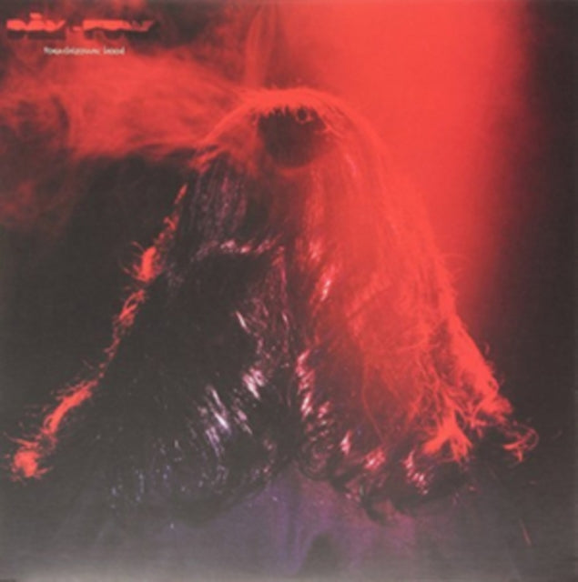 DAM | UNK | VINYL RECORD (LP)