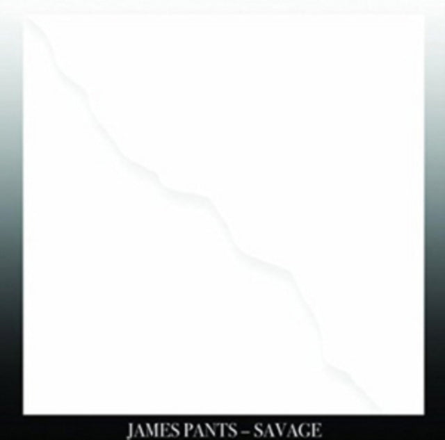 PANTS, JAMES | SAVAGE (DL CARD) | VINYL RECORD (LP)