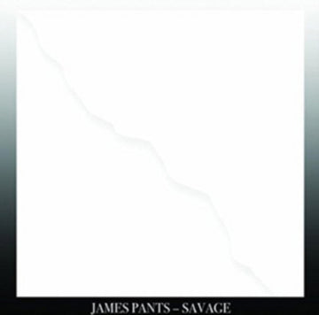 PANTS, JAMES | SAVAGE (DL CARD) | VINYL RECORD (LP)