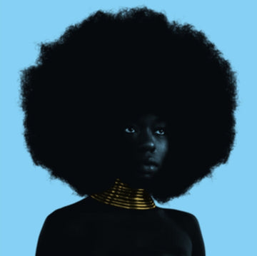 SINK (DL CODE) | VINYL RECORD (LP)