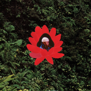 WHEN THE FLOWERS BLOOM | VINYL RECORD (LP)