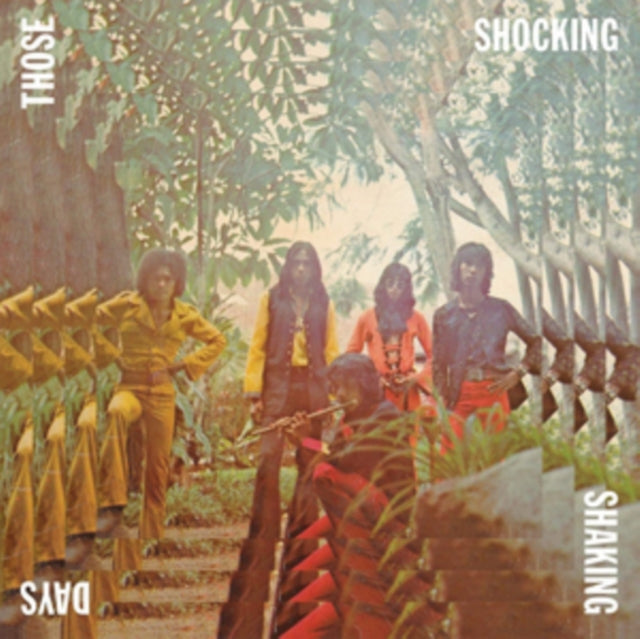 VARIOUS ARTISTS | THOSE SHOCKING SHAKING DAYS | VINYL RECORD (LP)