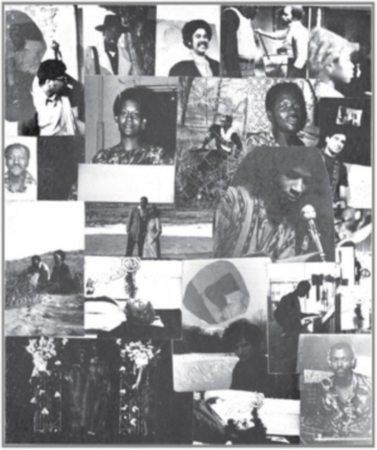 WORLD'S EXPERIENCE ORCHESTRA | BEGINNING OF A NEW BIRTH | VINYL RECORD (LP)