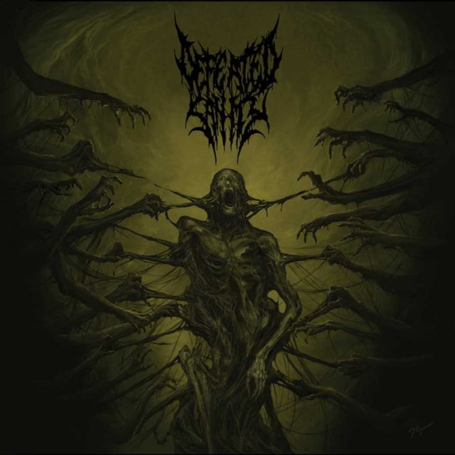 DEFEATED SANITY | PASSAGES INTO DEFORMITY (PICTURE DISC) | VINYL RECORD (LP)