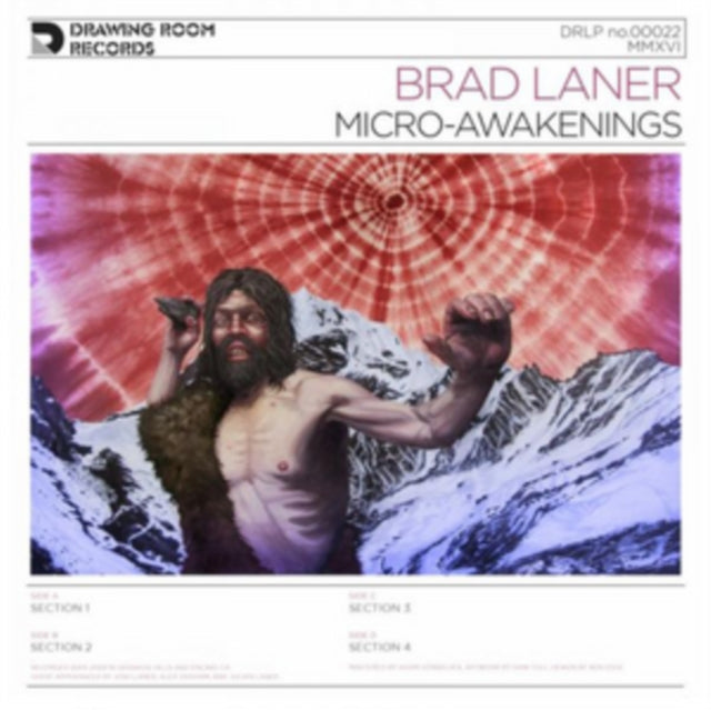LANER, BRAD | MICRO-AWAKENINGS | VINYL RECORD (LP)