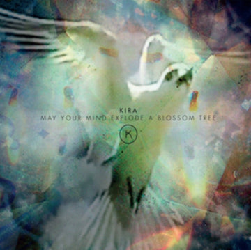 MAY YOUR MIND EXPLODE A BLOSSOM TREE | VINYL RECORD (LP)