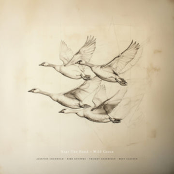 WILD GEESE | VINYL RECORD (LP)