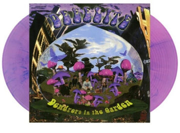 DEWDROPS IN THE GARDEN (PINK & PURPLE PSYCHEDELIC SWIRL-COLORED VINYL/2LP) | VINYL RECORD (LP)