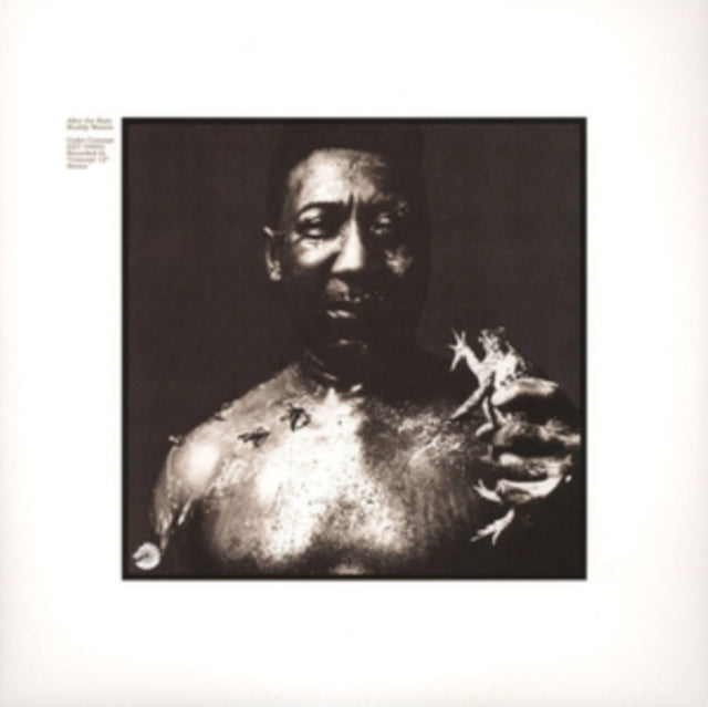 MUDDY WATERS | AFTER THE RAIN | VINYL RECORD (LP)