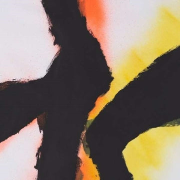 MAZUREK, ROB / EMMETT KELLY | ALIEN FLOWER SUTRA | VINYL RECORD (LP)