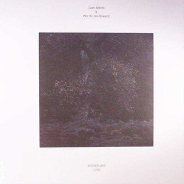 ATKINS, JUAN / OSWALD, MORITZ VON | BORDERLAND 2/3 | 12IN VINYL