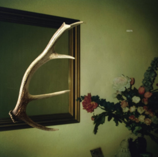 LOOPS HAUNT | EXITS (2LP) | VINYL RECORD (LP)