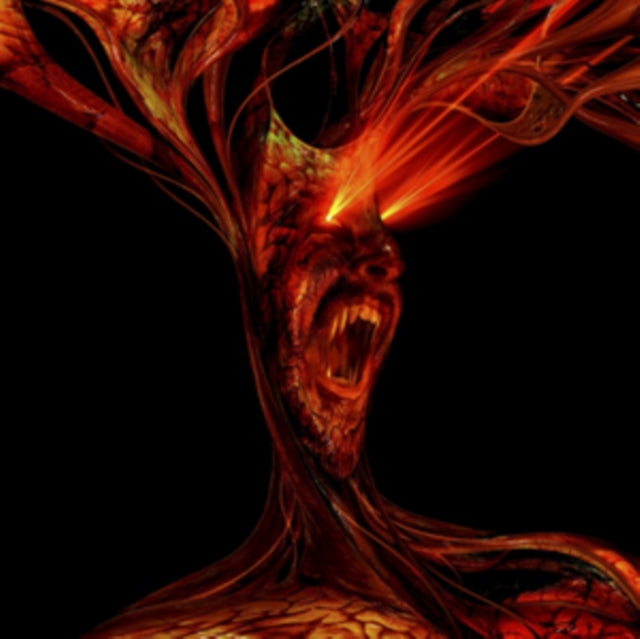 VHS HEAD | PERSISTENCE OF VISION (2LP) | VINYL RECORD (LP)