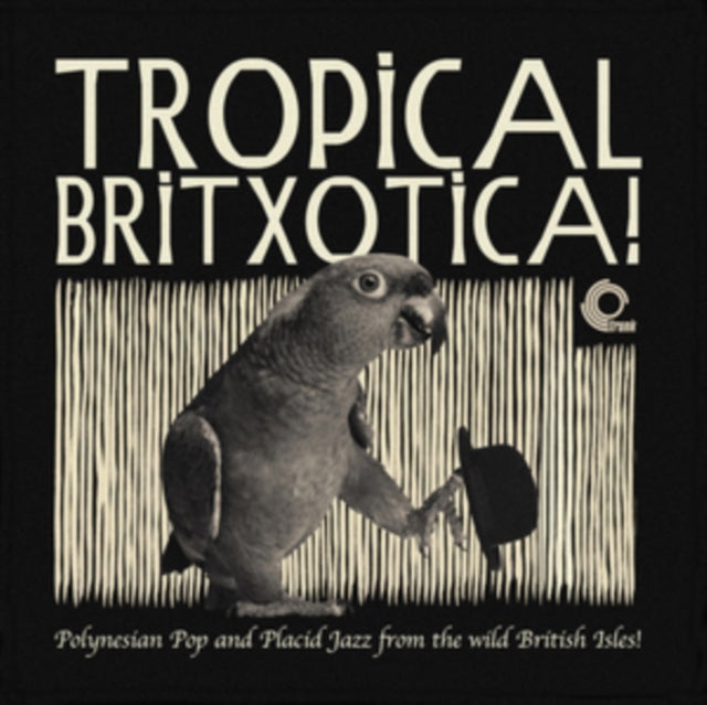 VARIOUS ARTISTS | TROPICAL BRITXOTICA: POLYNESIAN POP & PLACID JAZZ FROM THE WILD BRITISH ISLES | VINYL RECORD (LP)