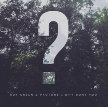 WHY DON'T YOU | 12IN VINYL