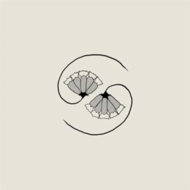 GODSPEED YOU! BLACK EMPEROR | G_D'S PEE AT STATE'S END! (180G/LP/10INCH) | VINYL RECORD (LP)