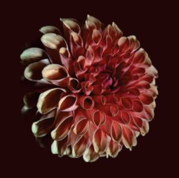 UNFOLDING | VINYL RECORD (LP)