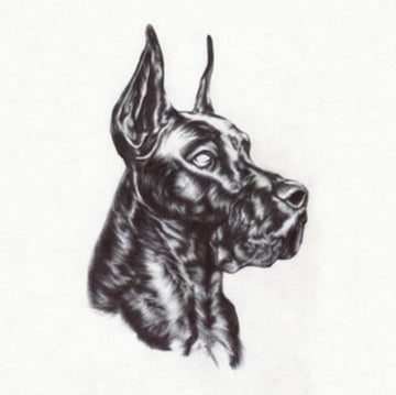 ALPHA DOG | VINYL RECORD (LP)