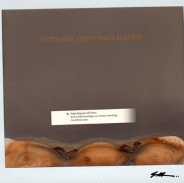 S.AL | LITTLE MAN, YOU'VE HAD A BUSY DAY | VINYL RECORD (LP)
