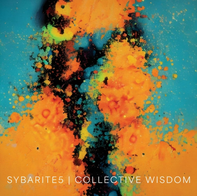 SYBARITE5 | COLLECTIVE WISDOM | VINYL RECORD (LP)