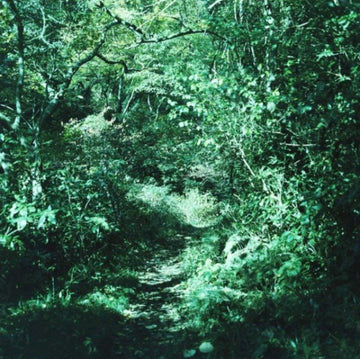 KOTONOHA | VINYL RECORD (LP)