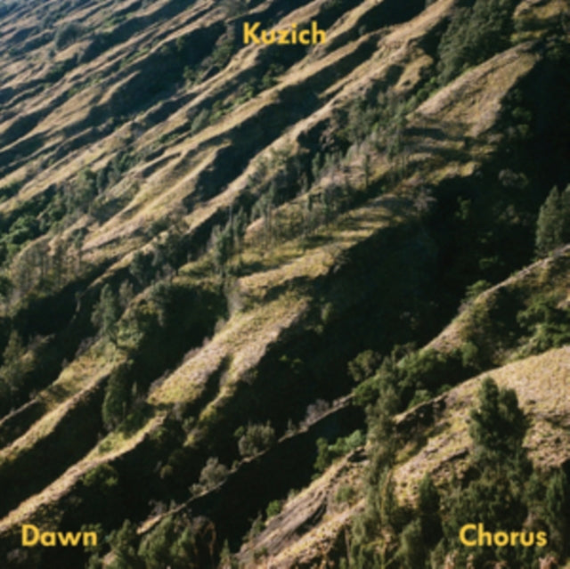 KUZICH | DAWN CHORUS | VINYL RECORD (LP)