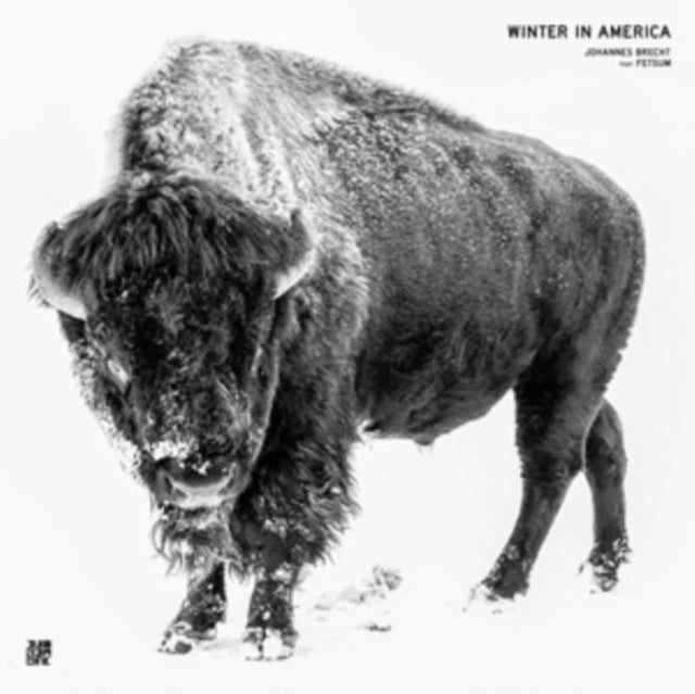 BRECHT FEAT. FETSUM,  JOHANNES | WINTER IN AMERICA | 12IN VINYL