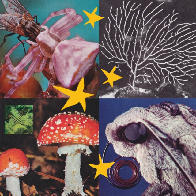 VARIOUS ARTISTS | ALL THINGS CONSIDERED V.2 | VINYL RECORD (LP)