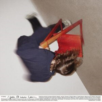 S. FIDELITY - I GUESS I'LL NEVER LEARN (1) | VINYL RECORD (LP)