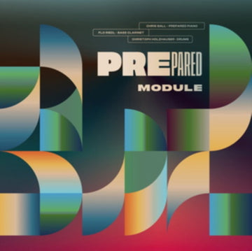 MODULE | VINYL RECORD (LP)