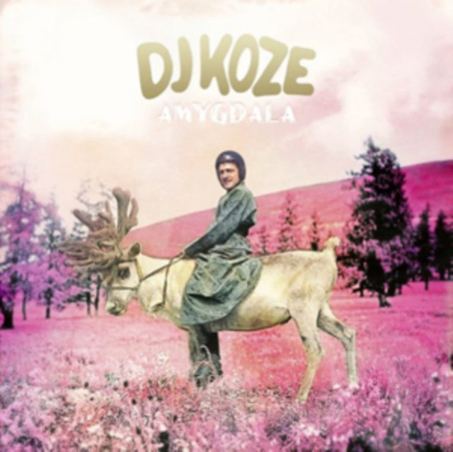 DJ KOZE | AMYGDALA (2LP/SIN) | VINYL RECORD (LP)