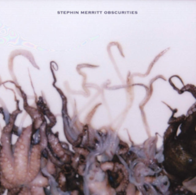 MERRITT, STEPHIN | OBSCURITIES | VINYL RECORD (LP)