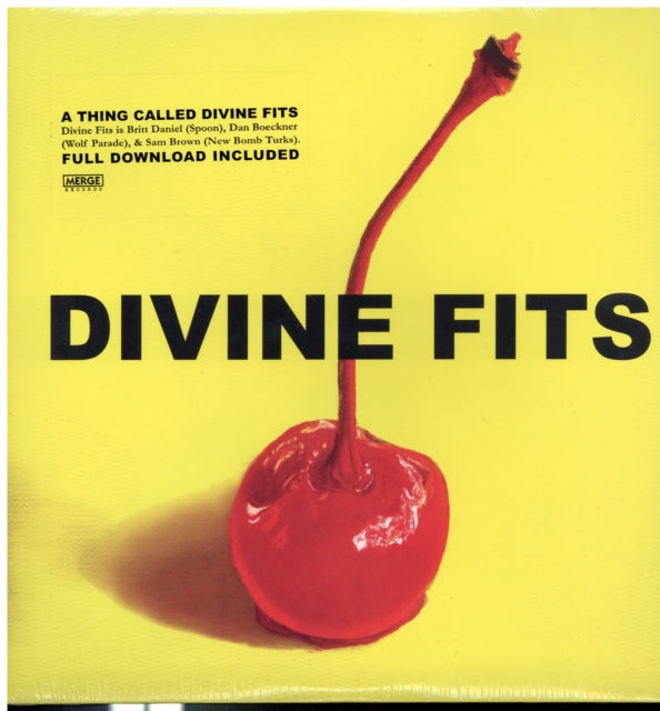 DIVINE FITS | THING CALLED DIVINE FITS | VINYL RECORD (LP)