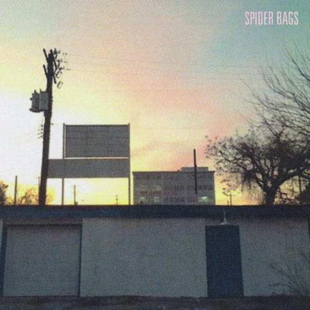 SPIDER BAGS | SOMEDAY EVERYTHING WILL BE FINE (PEAK LP) (I) | VINYL RECORD (LP)