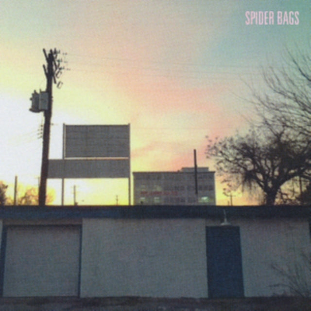 SPIDER BAGS | SOMEDAY EVERYTHING WILL BE FINE | VINYL RECORD (LP)