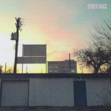 SPIDER BAGS | SOMEDAY EVERYTHING WILL BE FINE | VINYL RECORD (LP)