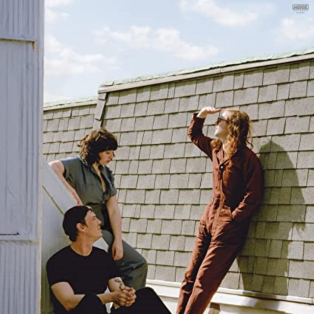 SWEARIN | FALL INTO THE SUN | VINYL RECORD (LP)