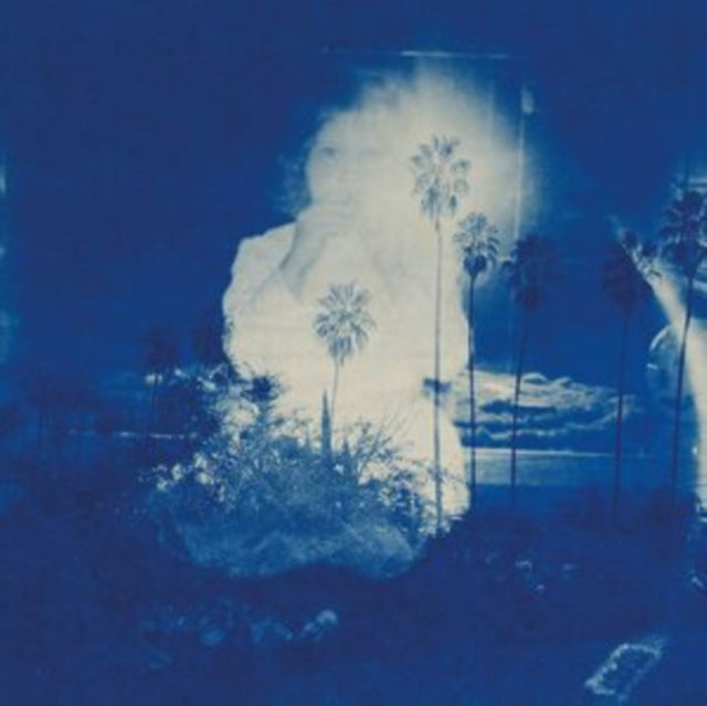 FRUIT BATS | RIVER RUNNING TO YOUR HEART | VINYL RECORD (LP)