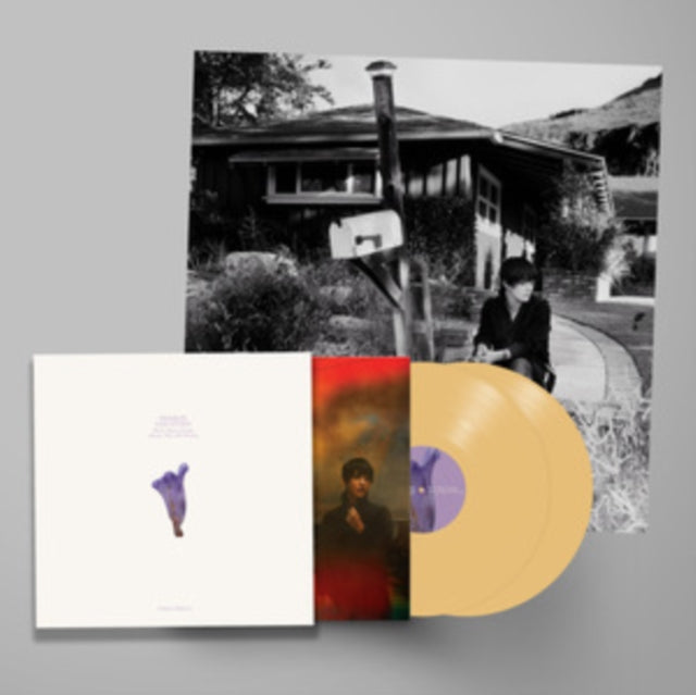 VAN ETTEN, SHARON | WE'VE BEEN GOING ABOUT THIS ALL WRONG (DELUXE EDITION/CUSTARD VINYL/2LP) | VINYL RECORD (LP)