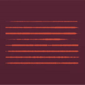 1030 (THE LNFG DEMONSTRATION DISC) (BEETROOT VINYL) | VINYL RECORD (LP)