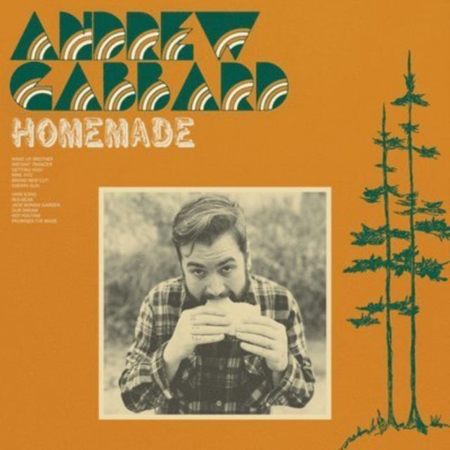 GABBARD, ANDREW | HOMEMADE | VINYL RECORD (LP)