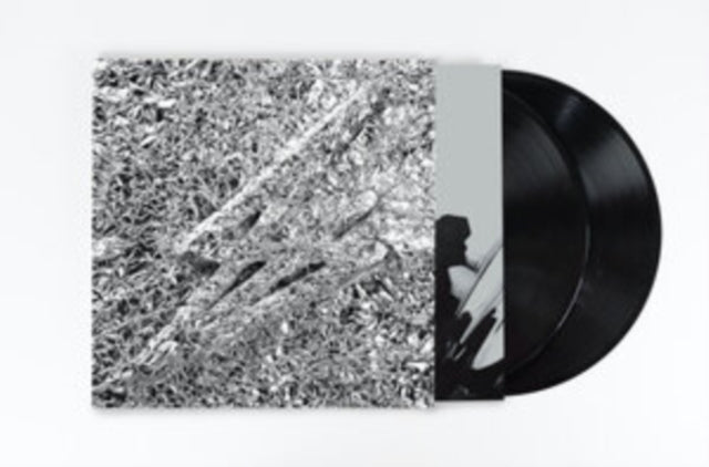 SAY SHE SHE | SILVER (2LP) | VINYL RECORD (LP)