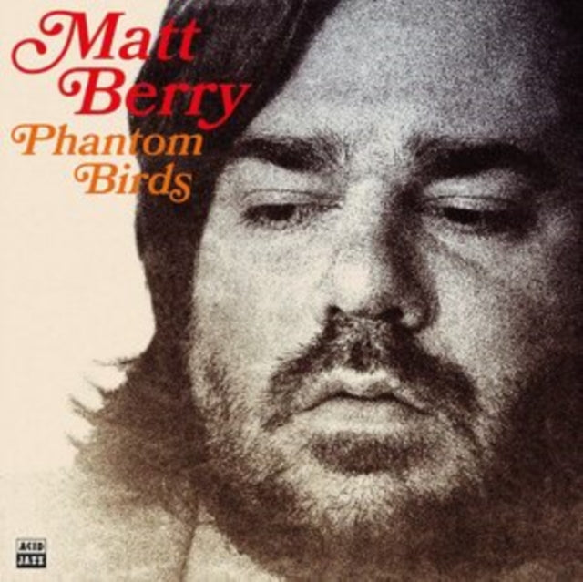 BERRY, MATT | PHANTOM BIRDS | VINYL RECORD (LP)