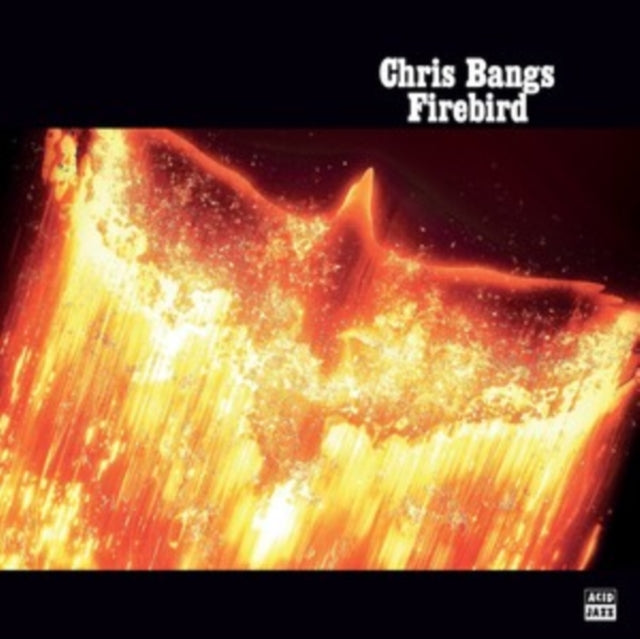 BANGS, CHRIS | FIREBIRD | VINYL RECORD (LP)